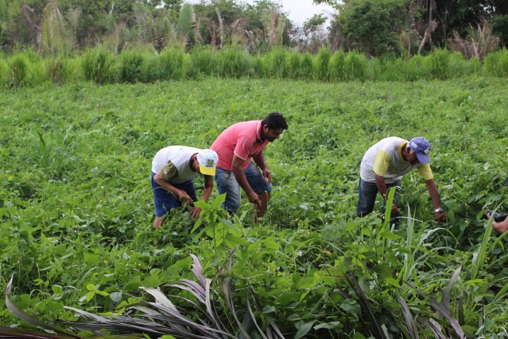 agricultores familiar