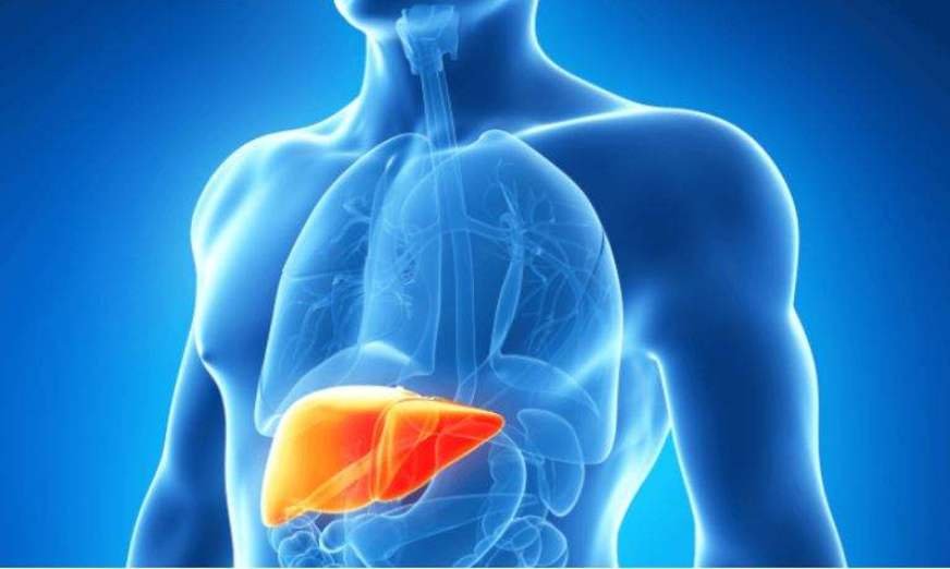 tratamento hepatite viral B e C