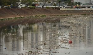 Acúmulo de lixo no rio Tietê, após chuva durante a manhã.