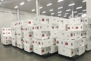 mail
