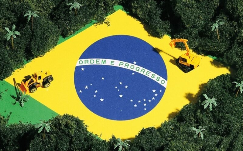 Acesse-Politica-O-site-de-politica-mais-acessado-da-Bahia-www.acessepolitica.com_.br-brasil-meio-ambiente-floresta