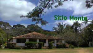 caderno 2 - familia sanford 12