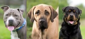 WhatsApp Image 2025-09-12 at 20.25.04