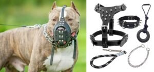 WhatsApp Image 2025-09-12 at 20.25.45