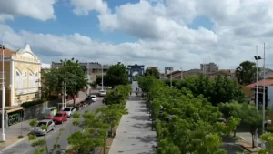 Sobral-CE-Reproducao