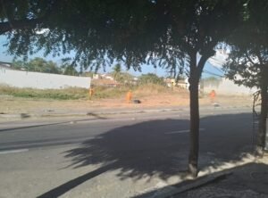 WhatsApp Image 2025-10-11 at 09.36.44