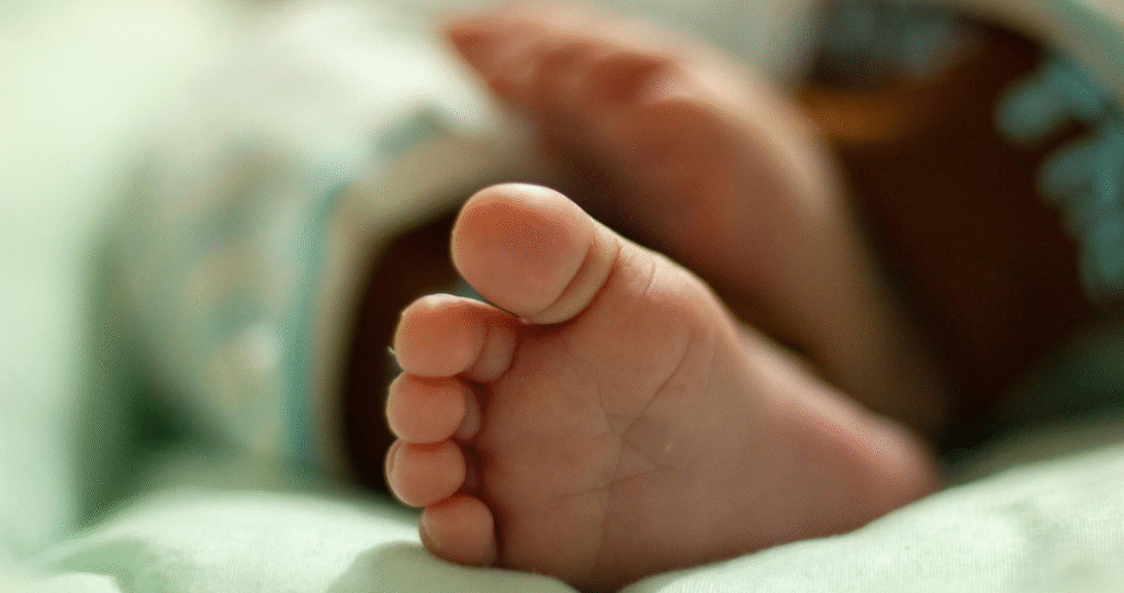 cnbb-pexels-hafsa-rahma