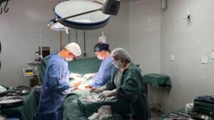 Doação de órgãos (3)