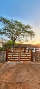 WhatsApp Image 2025-11-15 at 07.54.36