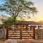 WhatsApp Image 2025-11-15 at 07.54.36