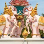 WhatsApp Image 2025-12-12 at 21.13.07