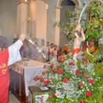 WhatsApp Image 2026-01-23 at 17.59.35