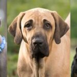 WhatsApp Image 2026-01-23 at 19.26.38