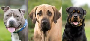 WhatsApp Image 2026-01-23 at 19.26.38