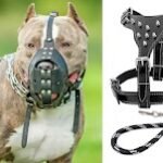 WhatsApp Image 2026-01-23 at 19.27.16