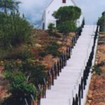 WhatsApp Image 2026-02-16 at 13.50.14