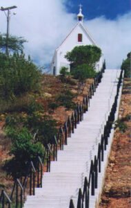 WhatsApp Image 2026-02-16 at 13.50.14