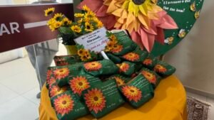 santa casa com pacientes da oncologia (4)